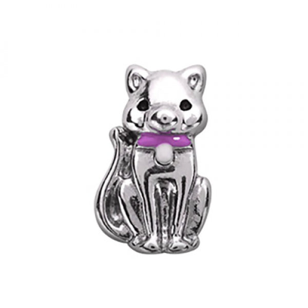 Story Charm 1101 Katze