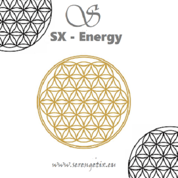 Blume des Lebens Gold 1511