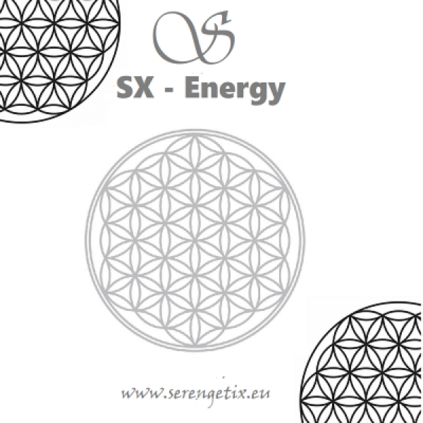 Blume des Lebens Silber 1510